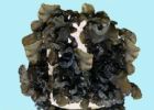 Black Fungus Extract